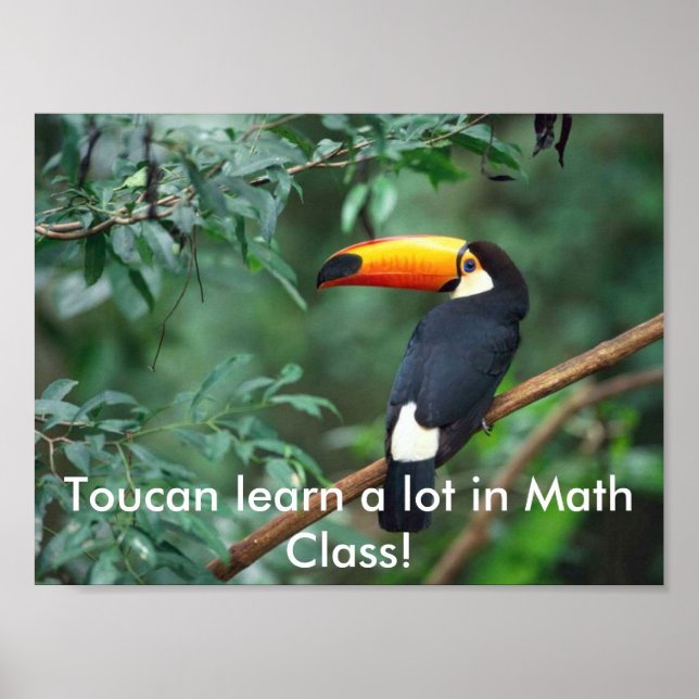 Poster ToucanMath (Frente)