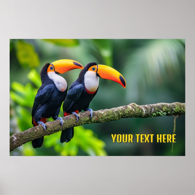 Poster Toucans tropicais de texto personalizado (Frente)