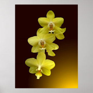 Pôster Touch of Oriental