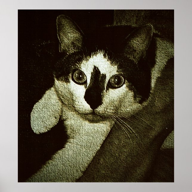 Poster Tough Bud. (Frente)