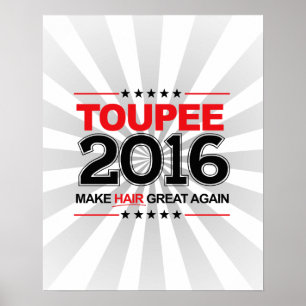 Pôster TOUPEE 2016 - Tornar o Excelente do cabelo novamen