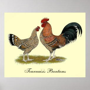 Pôster Tournaisis Bantams