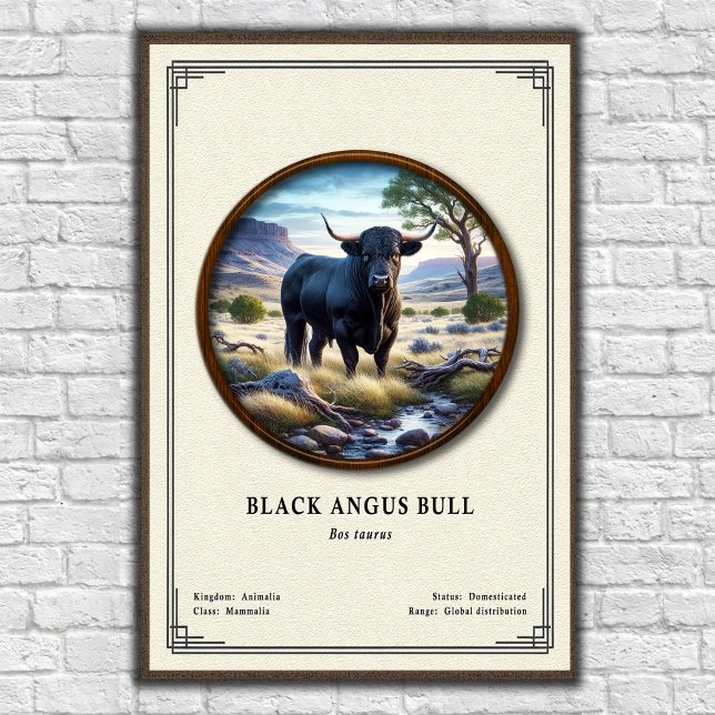 Poster Touro Black Angus Série de Zoologia (Criador carregado)