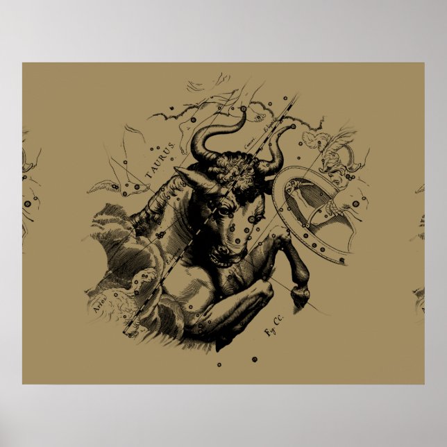 Pôster Touro Constelação Hevelius 1690 Engrenando (Frente)