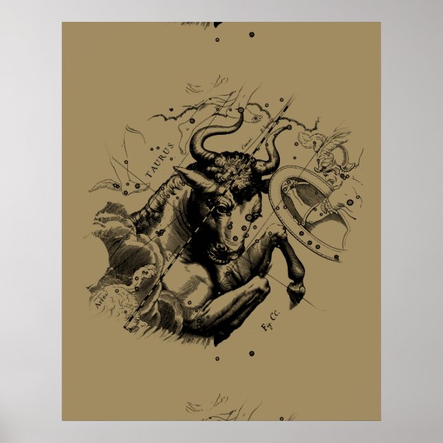 Pôster Touro Constelação Hevelius 1690 Engrenando (Frente)