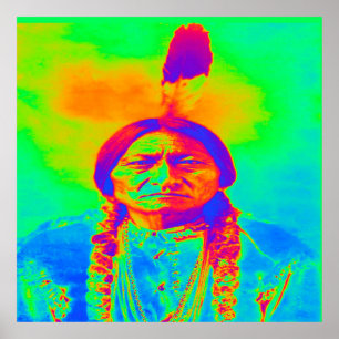 Poster Touro Sentado Americano Nativo