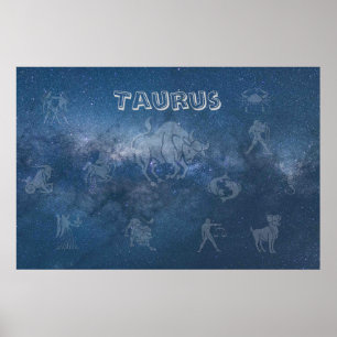 Poster Touro transparente