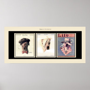 Pôster Touros de Pit Famosos