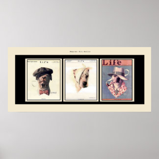 Pôster Touros de Pit Famosos