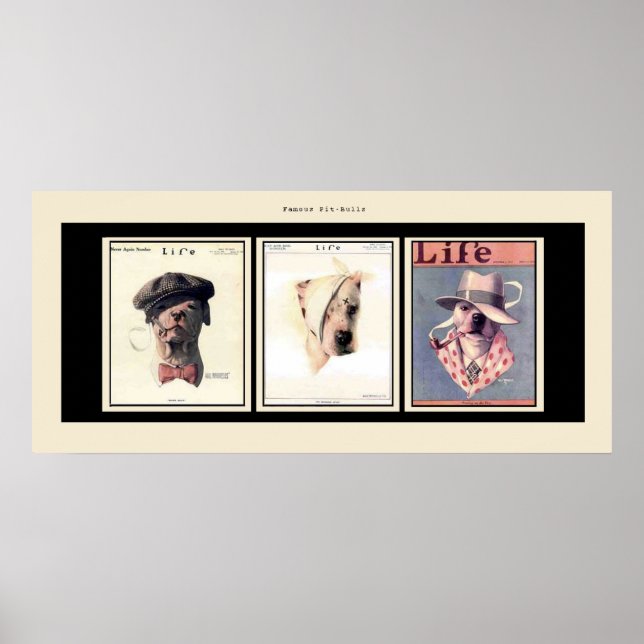 Pôster Touros de Pit Famosos (Frente)