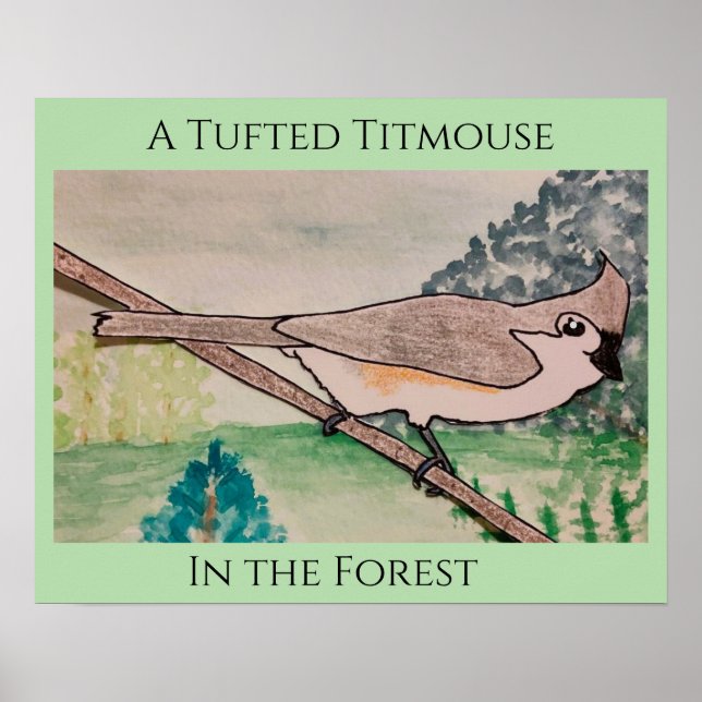 Poster Toutinegra-de-poupa na Floresta (Frente)