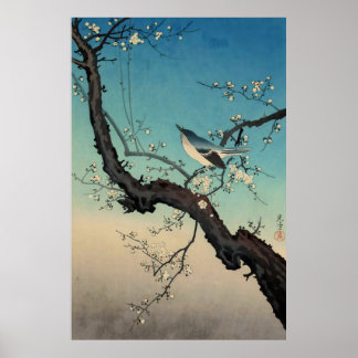 Poster toutinegra-marrom e flores de ameixa-Tsuchiya Koit