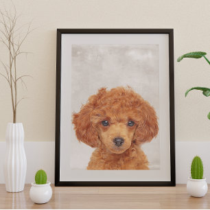 Pôster Toy Poodle Poster