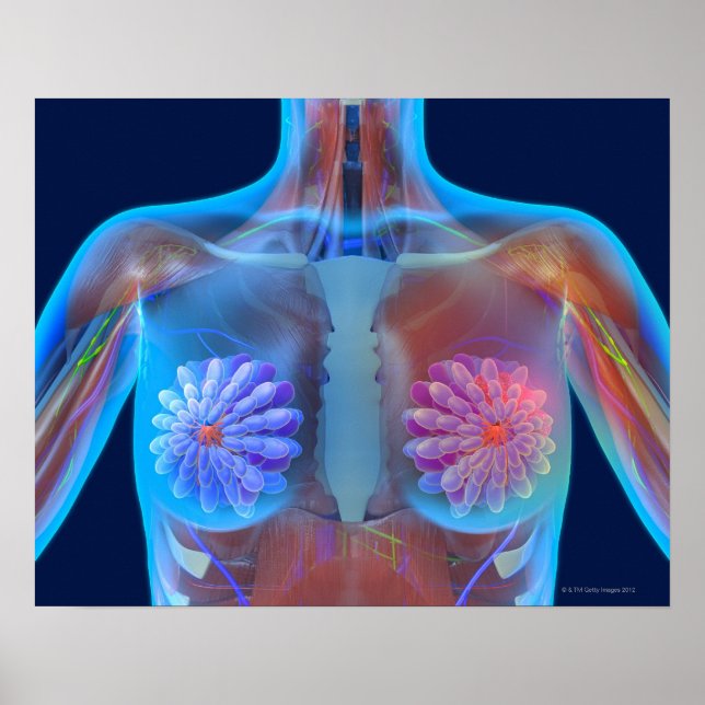 Poster Trabalho de arte de computador que representa o ca (Frente)