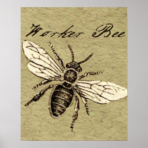 Pôster Trabalho de arte de Desenho de Bee do Trabalhador