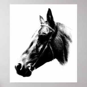 Pôster Trabalho de arte de Desenho de Cavalo Branco Negro