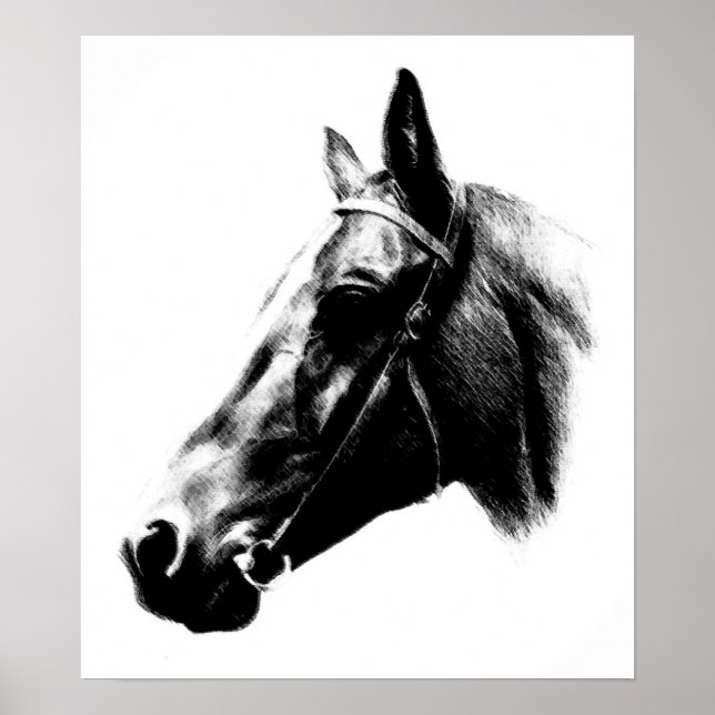 Pôster Trabalho de arte de Desenho de Cavalo Branco Negro (Frente)