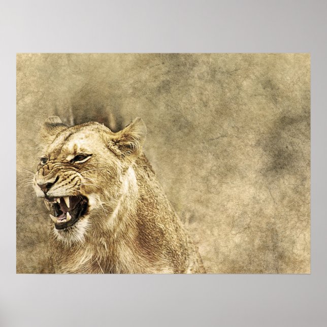Pôster Trabalho de arte de Foto Selvagem Selvagem de Lion (Frente)