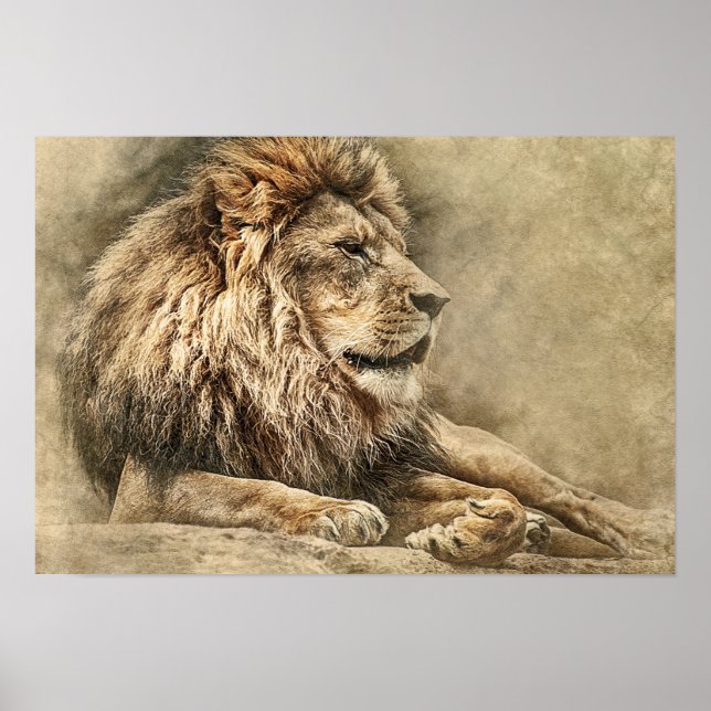 Pôster Trabalho de arte de Foto Selvagem Selvagem de Lion (Frente)