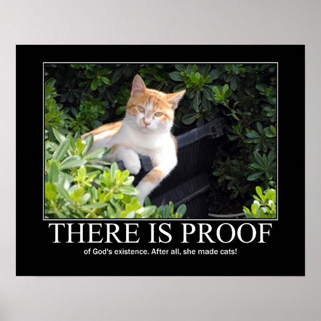 Pôster Trabalho de arte de Gatos Feitos por Deus (Frente)