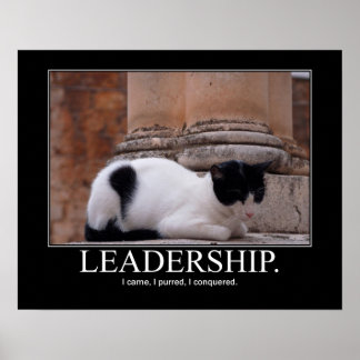 Poster Trabalho de arte de Leadership Cat