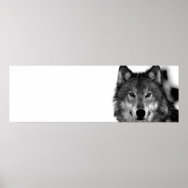 Pôster Trabalho de arte de Lobo Cinza Preto e Branco (Frente)