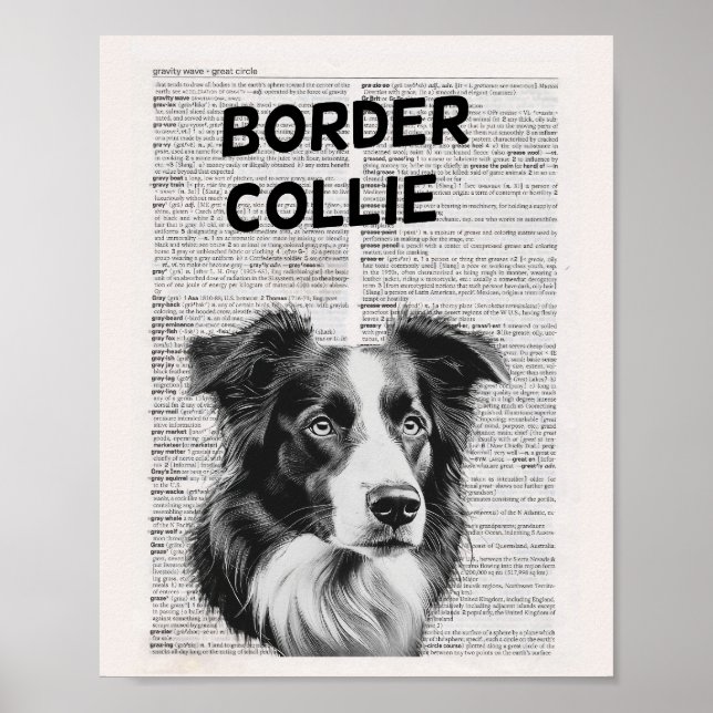 Poster Trabalho de arte de Página de Dicionário de Collie (Frente)