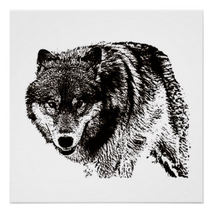 Pôster Trabalho de arte de Preto e Branco do Lobo Selvage
