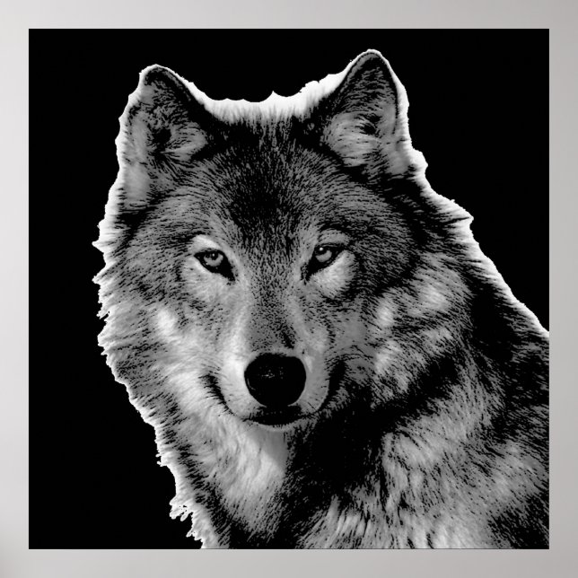 Pôster Trabalho de arte do Lobo Negro e Branco (Frente)