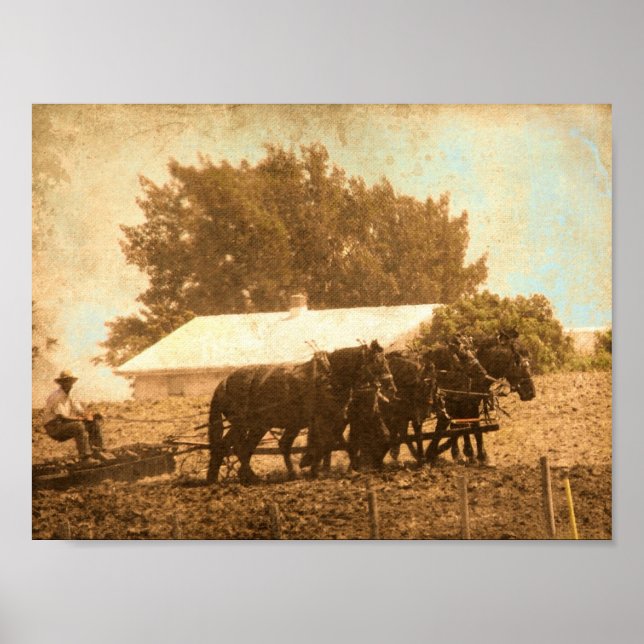 Pôster Trabalho de campo (Frente)