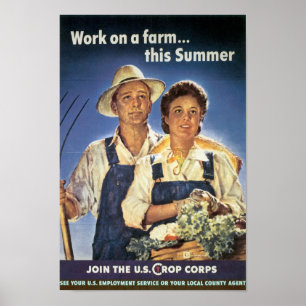 Poster Trabalho em uma fazenda… este verão