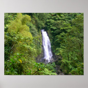Poster Traffic Falls, Dominica