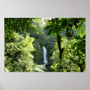 Poster Traffic Falls Tropical RainForest Fotografia