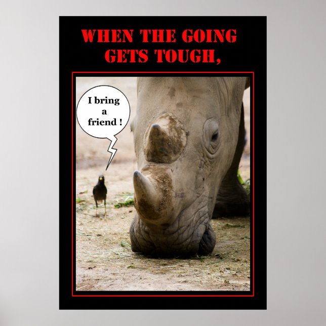 Pôster Traga Um Amigo (Frente)