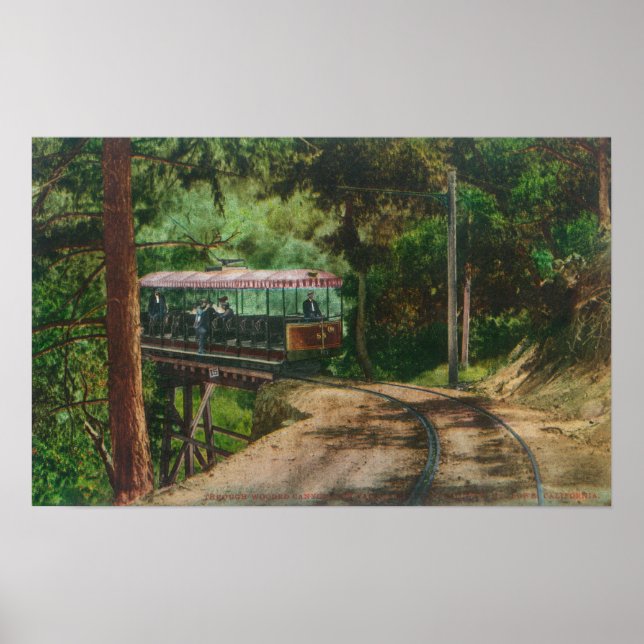 Poster Train through Wooden CanyonMt. Lowe, CA (Frente)
