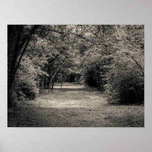 Poster Trajeto ao desconhecido