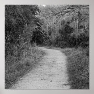 Pôster Trajeto arborizado de B&W