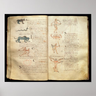 Pôster Trajeto da lua através das constelações