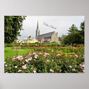 Pôster Tralee, Jardim Rosa da Irlanda