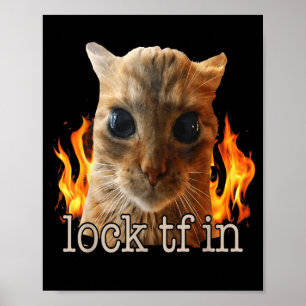 Poster Trancar tf no gato