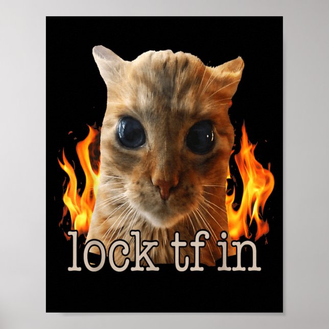 Poster Trancar tf no gato (Frente)