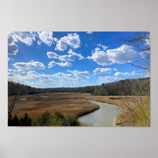 Poster Tranquil Swampy Wangtown Yorktown Virginia (Frente)