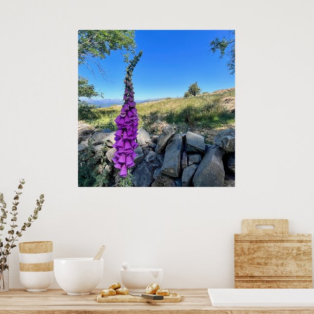 Poster Tranquilidade do campo inglês (Cozinha)