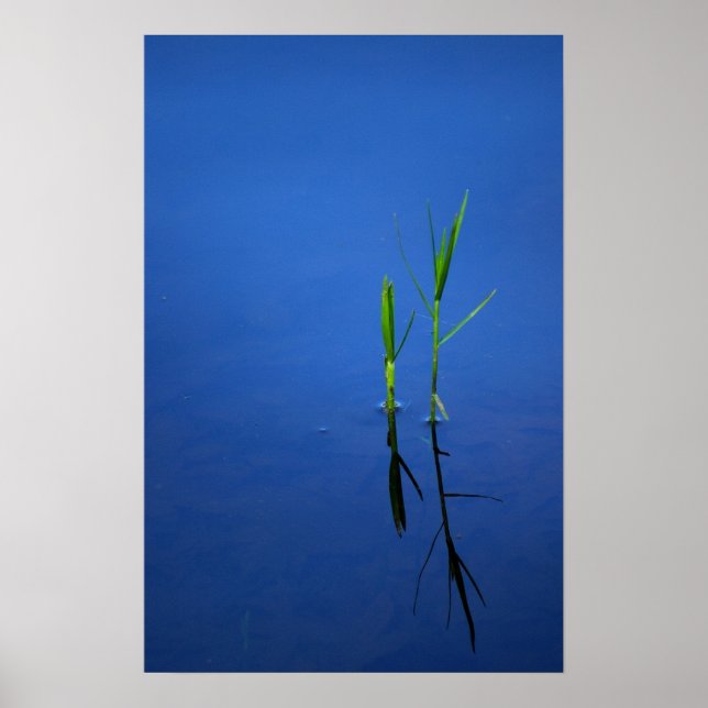 Pôster Tranquility (Frente)