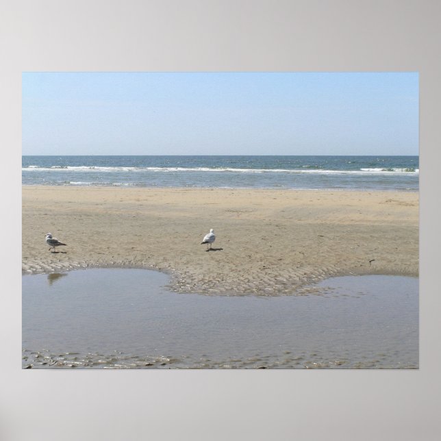 Poster Tranquility (Frente)