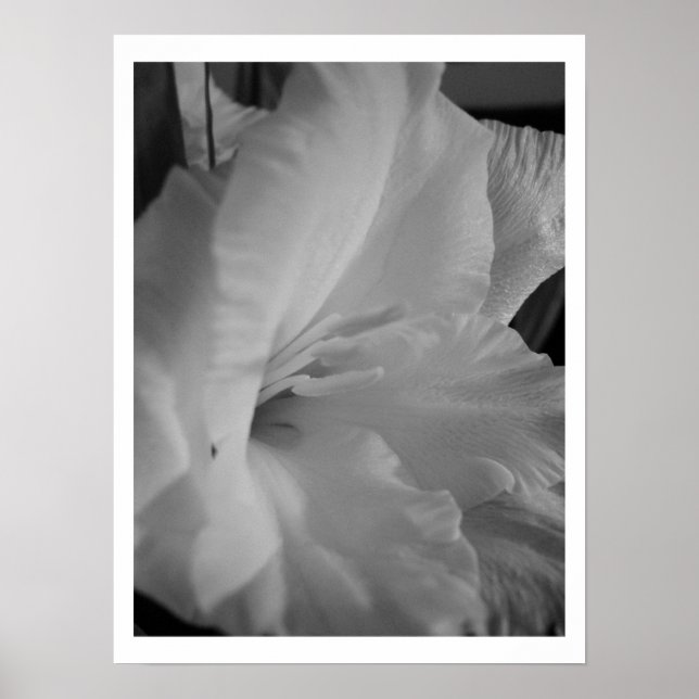 Pôster Tranquilo (Frente)