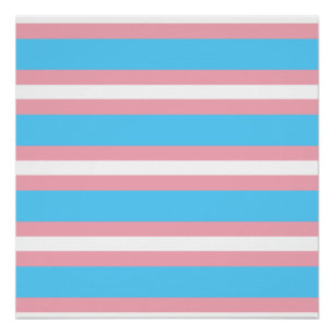 Pôster trans