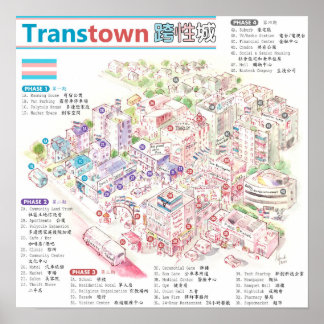 Poster Transcidade