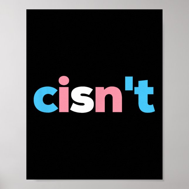Poster Transgender Pride Cisnt - Lgbtq Trans Flag - Funny (Frente)