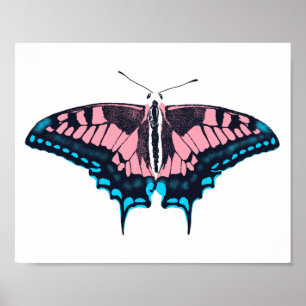Poster Transgender Pride Flag Swallowtail Butterfly
